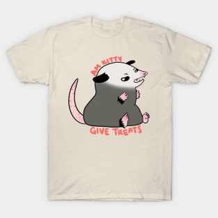 Possum Kitty T-Shirt